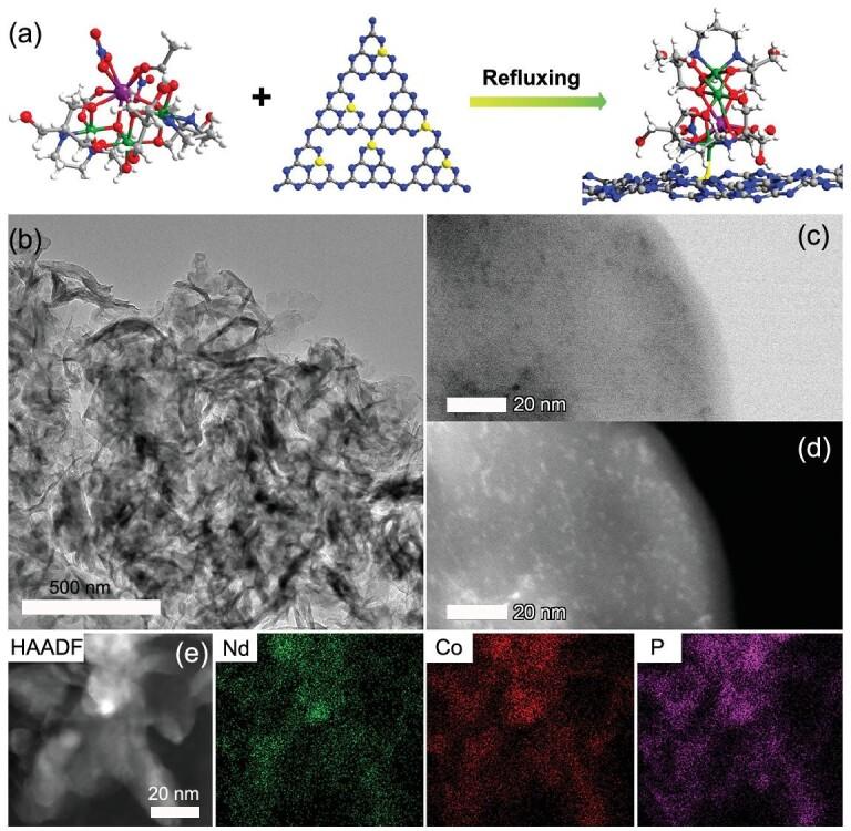 https://cdn.ncbi.nlm.nih.gov/pmc/blobs/b3ee/8433082/fea733b84a6c/nwaa234fig2.jpg