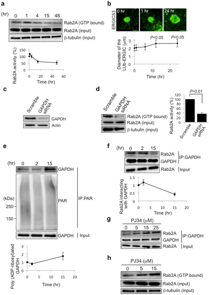 https://cdn.ncbi.nlm.nih.gov/pmc/blobs/b3ef/5381769/35471c23b313/srep06952-f5.jpg