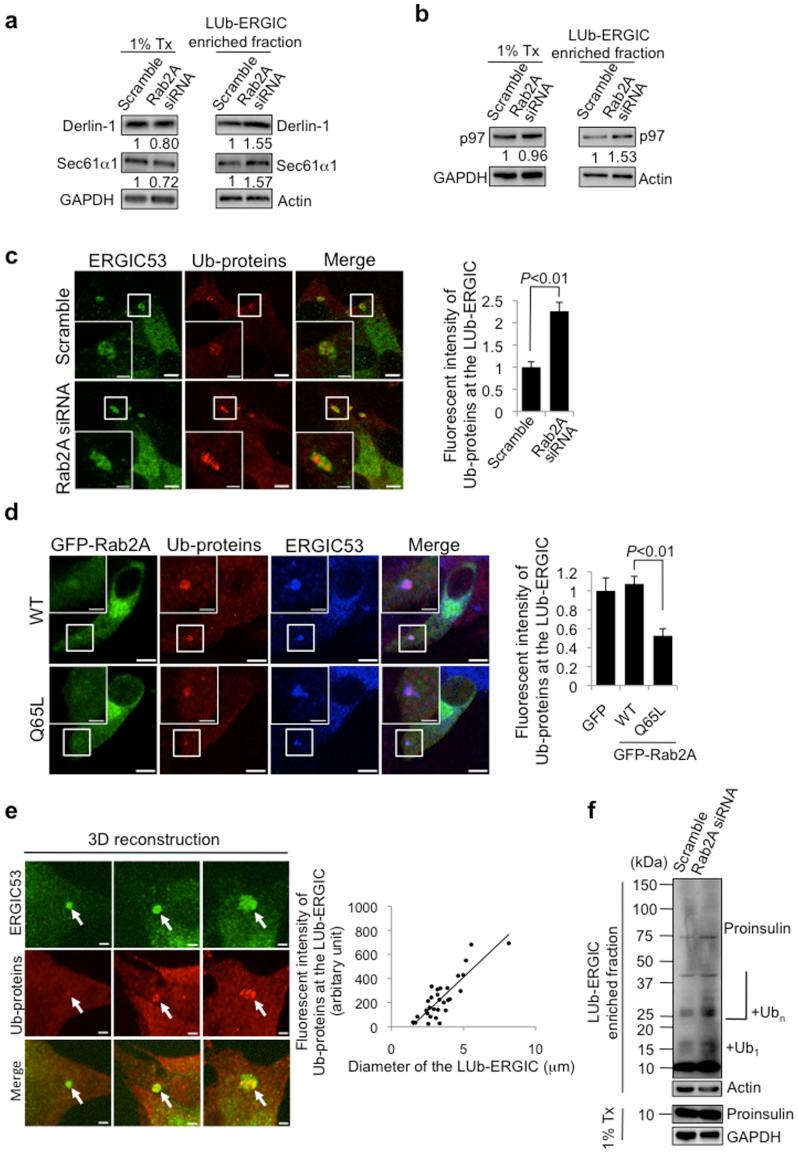 https://cdn.ncbi.nlm.nih.gov/pmc/blobs/b3ef/5381769/50692d8894c4/srep06952-f4.jpg