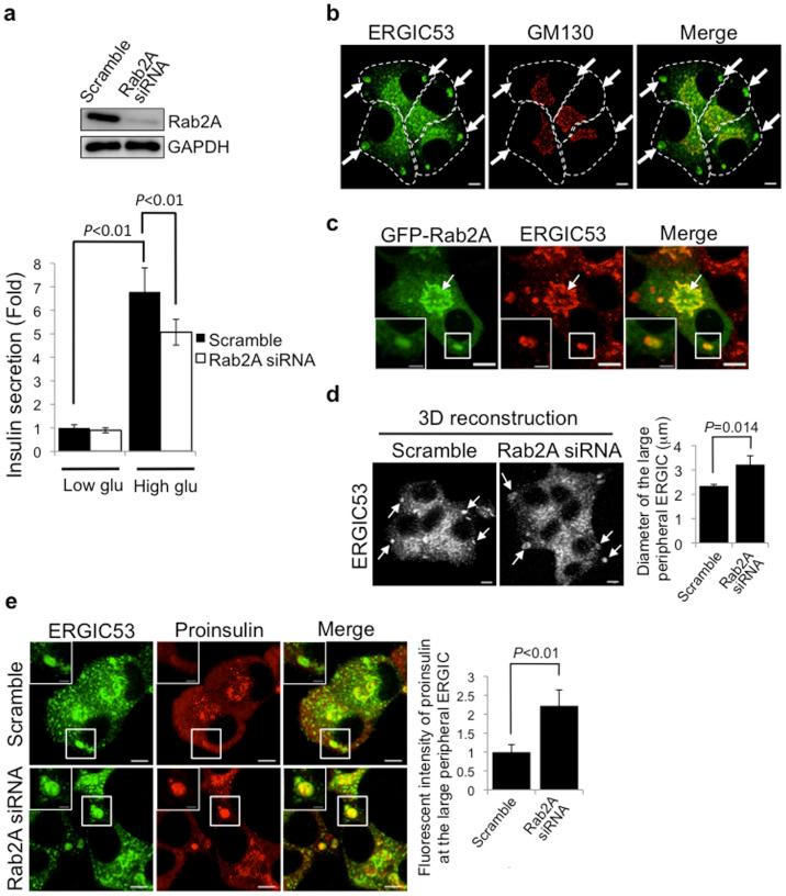 https://cdn.ncbi.nlm.nih.gov/pmc/blobs/b3ef/5381769/8b5652ac6735/srep06952-f1.jpg