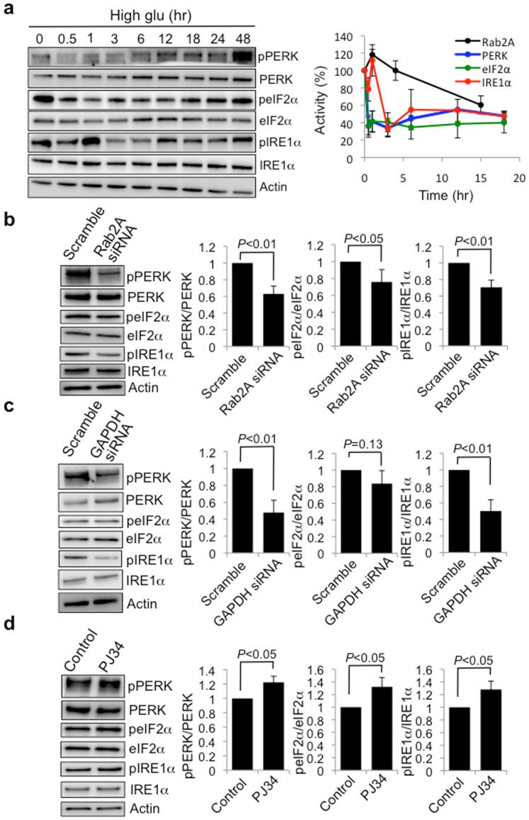 https://cdn.ncbi.nlm.nih.gov/pmc/blobs/b3ef/5381769/8c3f4cc559f6/srep06952-f6.jpg
