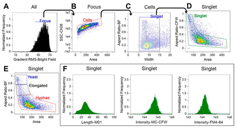 https://cdn.ncbi.nlm.nih.gov/pmc/blobs/b3f0/10381375/c2660d6919ed/jof-09-00722-g001.jpg