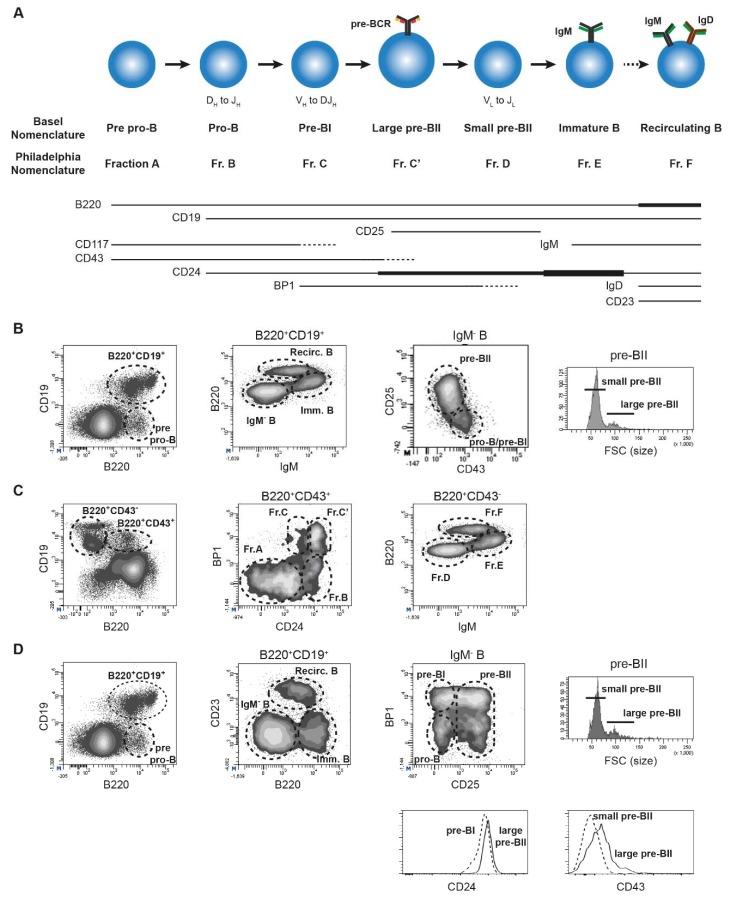 https://cdn.ncbi.nlm.nih.gov/pmc/blobs/b3f0/6121419/56ed8c1a6646/ijms-19-02353-g002.jpg
