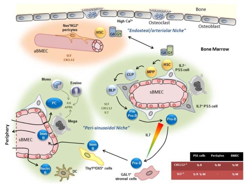 https://cdn.ncbi.nlm.nih.gov/pmc/blobs/b3f0/6121419/91ec053136c0/ijms-19-02353-g003.jpg