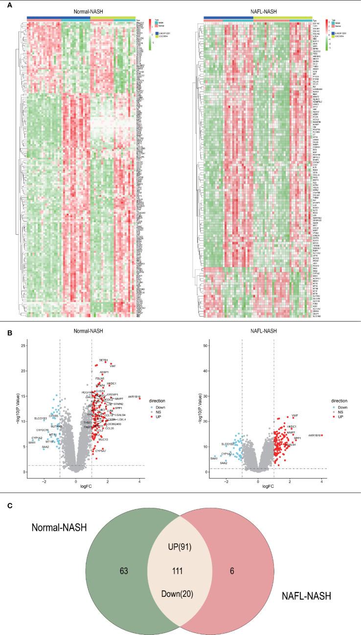 https://cdn.ncbi.nlm.nih.gov/pmc/blobs/b3f2/7870871/4eabe647c1e1/fimmu-11-609900-g002.jpg