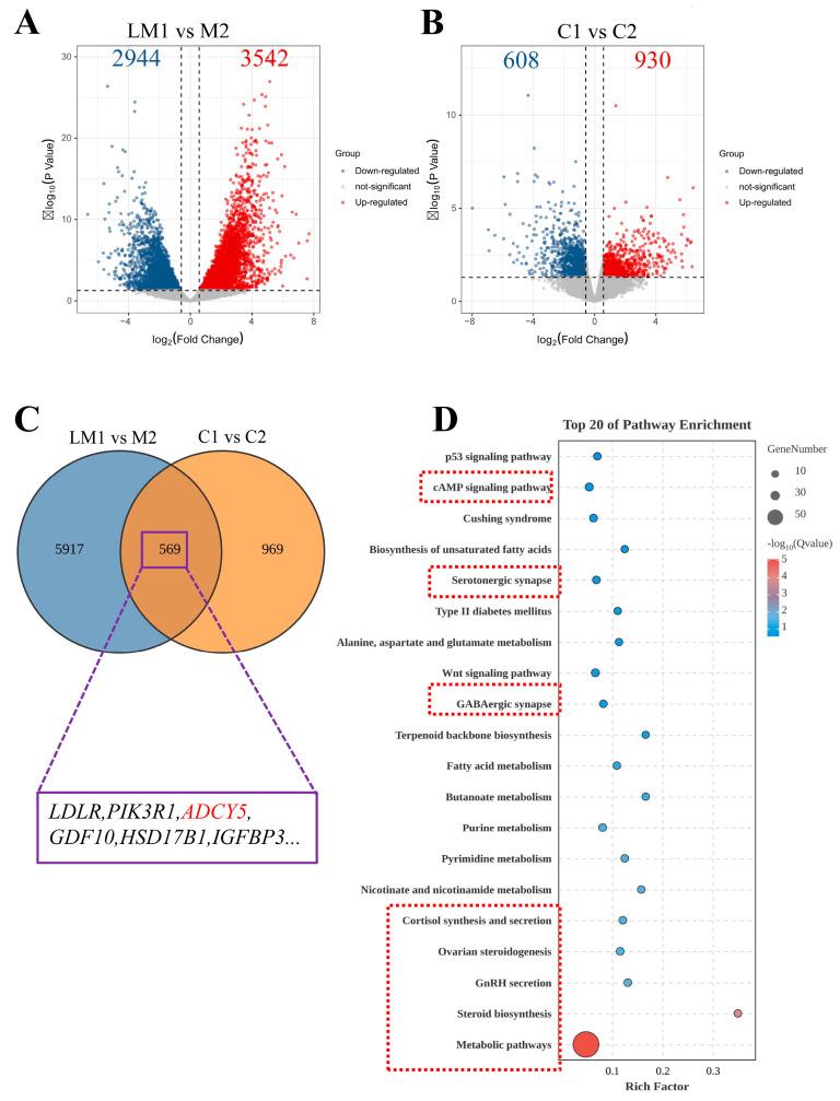 https://cdn.ncbi.nlm.nih.gov/pmc/blobs/b3f4/11855216/21c5e3584795/ijms-26-01622-g001.jpg