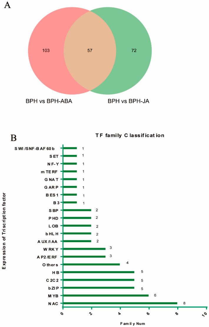 https://cdn.ncbi.nlm.nih.gov/pmc/blobs/b3f5/9181446/5361ea8468f4/ijms-23-06319-g006.jpg