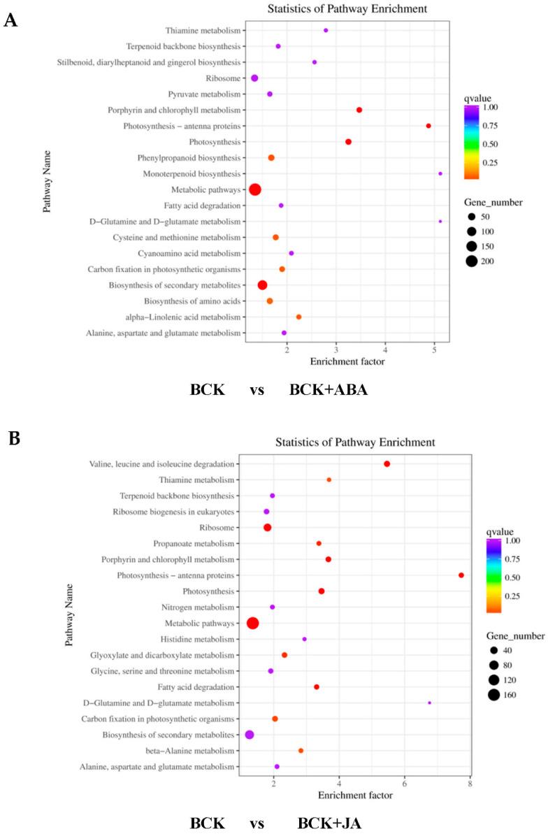https://cdn.ncbi.nlm.nih.gov/pmc/blobs/b3f5/9181446/c4352dc78342/ijms-23-06319-g003.jpg