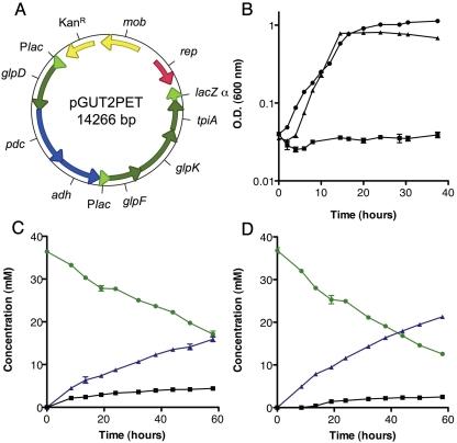 https://cdn.ncbi.nlm.nih.gov/pmc/blobs/b3f6/2975363/3fbf725a5630/mbo0041010550002.jpg