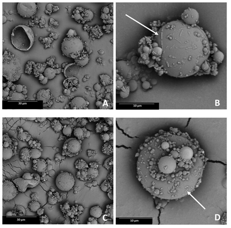 https://cdn.ncbi.nlm.nih.gov/pmc/blobs/b3f6/8530489/69363236bcbe/IDRD_A_1992037_F0001_B.jpg