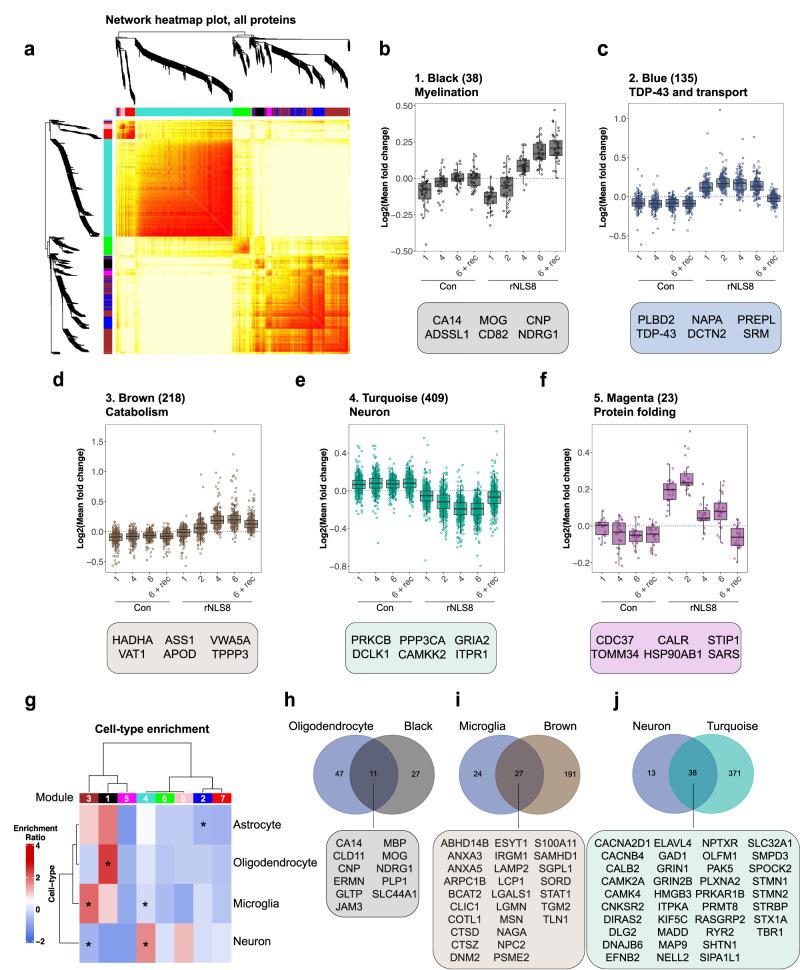https://cdn.ncbi.nlm.nih.gov/pmc/blobs/b3fc/10876645/92738c8cefcc/41467_2024_45646_Fig3_HTML.jpg