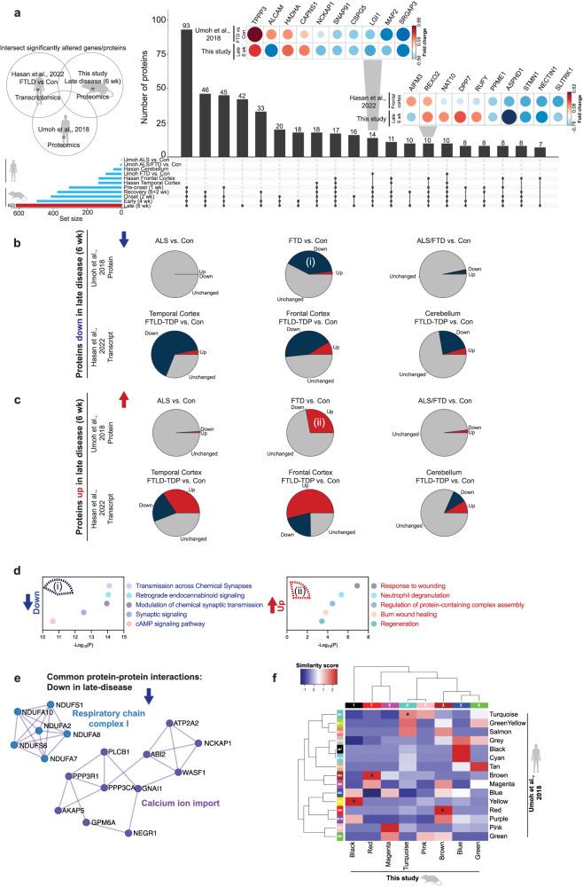 https://cdn.ncbi.nlm.nih.gov/pmc/blobs/b3fc/10876645/a45a5b00fa67/41467_2024_45646_Fig7_HTML.jpg