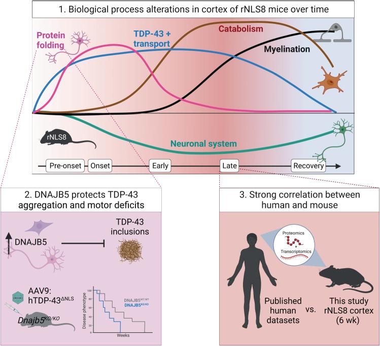 https://cdn.ncbi.nlm.nih.gov/pmc/blobs/b3fc/10876645/c588929f5fd2/41467_2024_45646_Fig8_HTML.jpg