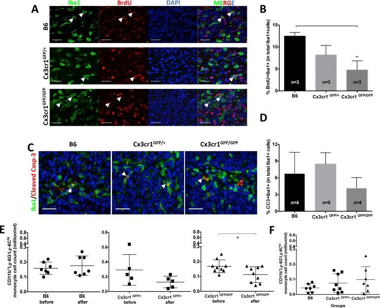 https://cdn.ncbi.nlm.nih.gov/pmc/blobs/b3fc/4558137/4ee13ef65e73/oncotarget-06-15077-g003.jpg