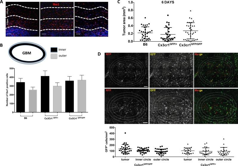 https://cdn.ncbi.nlm.nih.gov/pmc/blobs/b3fc/4558137/98d8dc5e875a/oncotarget-06-15077-g007.jpg