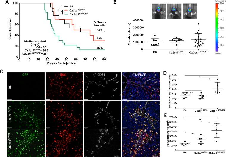 https://cdn.ncbi.nlm.nih.gov/pmc/blobs/b3fc/4558137/9ddcdbd3661f/oncotarget-06-15077-g001.jpg