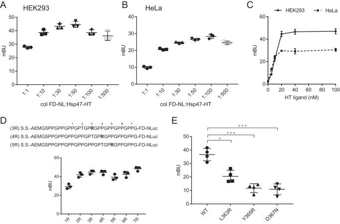 https://cdn.ncbi.nlm.nih.gov/pmc/blobs/b3fc/6827286/0439a2d871fe/zbc9991913100002.jpg