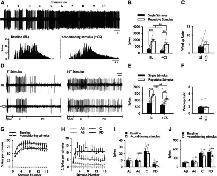 https://cdn.ncbi.nlm.nih.gov/pmc/blobs/b3fd/11758248/d40dff8da261/EJP-29-0-g003.jpg