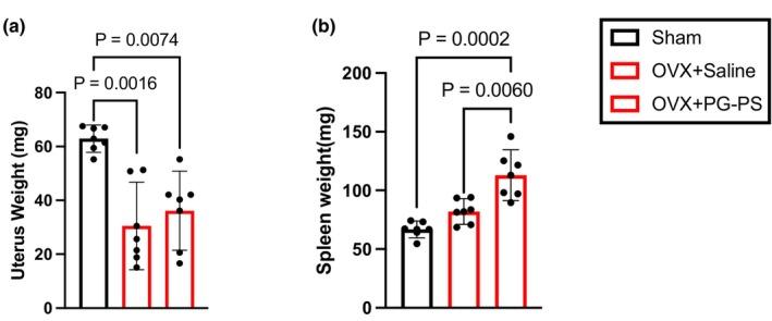 https://cdn.ncbi.nlm.nih.gov/pmc/blobs/b3fd/12181685/1340987b9708/PHY2-13-e70431-g001.jpg