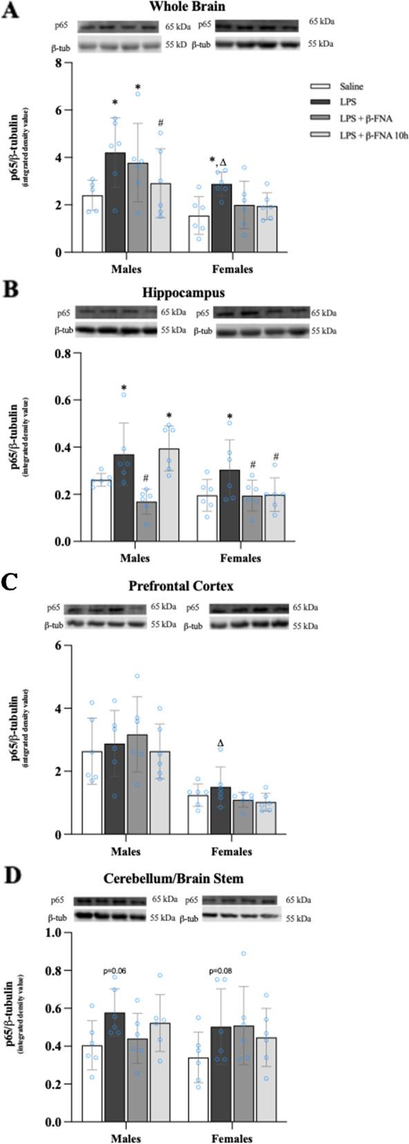 https://cdn.ncbi.nlm.nih.gov/pmc/blobs/b3fd/9878921/66debf8279ab/12950_2023_328_Fig7_HTML.jpg