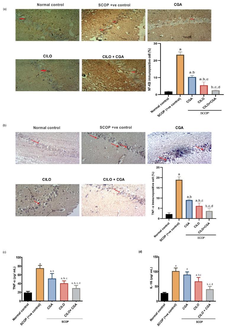 https://cdn.ncbi.nlm.nih.gov/pmc/blobs/b3ff/11988773/07a56f317d92/ijms-26-03108-g004.jpg