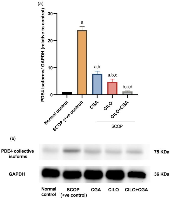 https://cdn.ncbi.nlm.nih.gov/pmc/blobs/b3ff/11988773/27ab55e28b5b/ijms-26-03108-g006.jpg