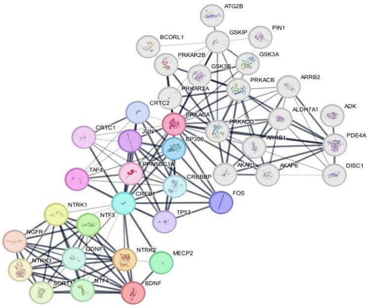 https://cdn.ncbi.nlm.nih.gov/pmc/blobs/b3ff/11988773/78b3c8e70368/ijms-26-03108-g007.jpg