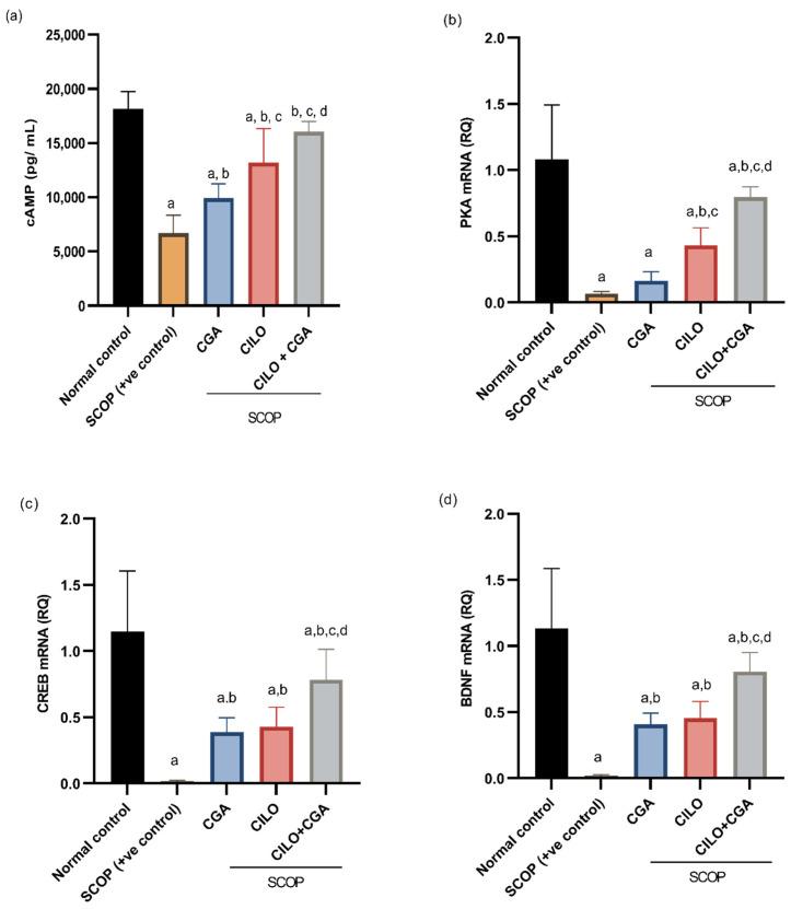 https://cdn.ncbi.nlm.nih.gov/pmc/blobs/b3ff/11988773/864551f5cdbd/ijms-26-03108-g005.jpg