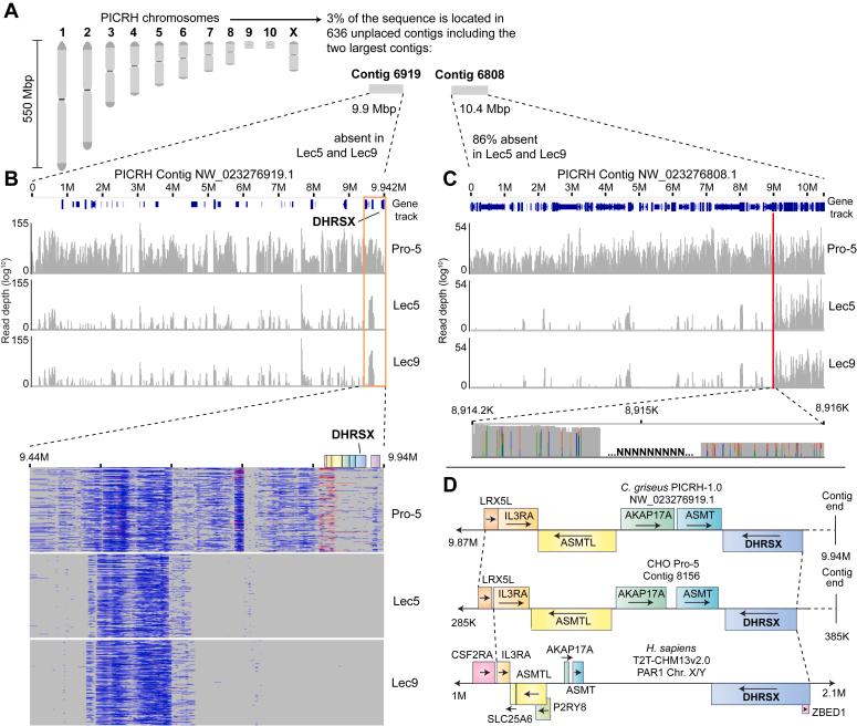 https://cdn.ncbi.nlm.nih.gov/pmc/blobs/b400/11607601/7b0ba41117d2/gr5.jpg