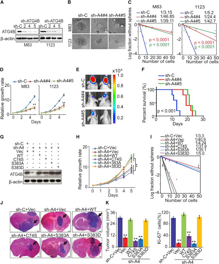 https://cdn.ncbi.nlm.nih.gov/pmc/blobs/b402/5734934/276f7d2b6b3c/gr6.jpg