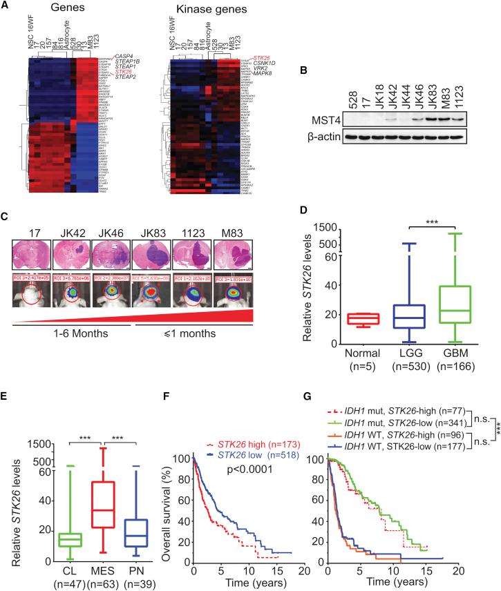https://cdn.ncbi.nlm.nih.gov/pmc/blobs/b402/5734934/789f457bc238/gr1.jpg