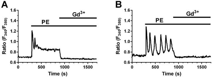 https://cdn.ncbi.nlm.nih.gov/pmc/blobs/b403/6164566/9b2df2711605/ijms-19-02758-g007.jpg