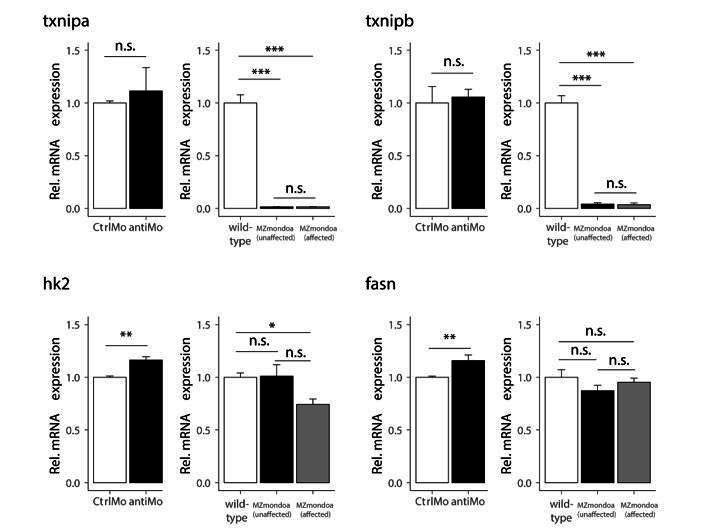 https://cdn.ncbi.nlm.nih.gov/pmc/blobs/b406/7515633/82fbc92562aa/elife-57068-resp-fig2.jpg