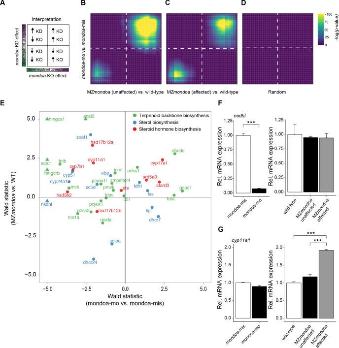 https://cdn.ncbi.nlm.nih.gov/pmc/blobs/b406/7515633/f23590f223f5/elife-57068-fig7-figsupp2.jpg