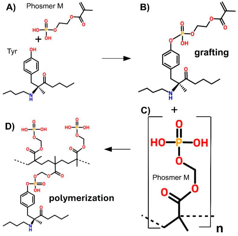 https://cdn.ncbi.nlm.nih.gov/pmc/blobs/b407/11767523/3a37d058994b/molecules-30-00328-g007.jpg