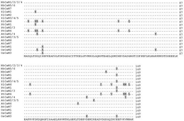 https://cdn.ncbi.nlm.nih.gov/pmc/blobs/b408/3751459/4b0cbec48cec/1471-2229-13-70-1.jpg
