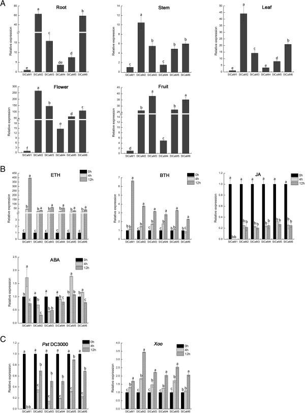 https://cdn.ncbi.nlm.nih.gov/pmc/blobs/b408/3751459/db66abe69da9/1471-2229-13-70-5.jpg