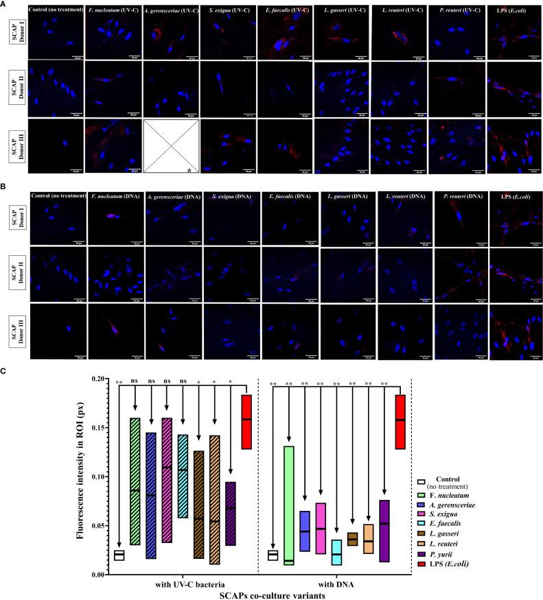 https://cdn.ncbi.nlm.nih.gov/pmc/blobs/b409/10711090/54539aeb2b75/fcimb-13-1257433-g005.jpg
