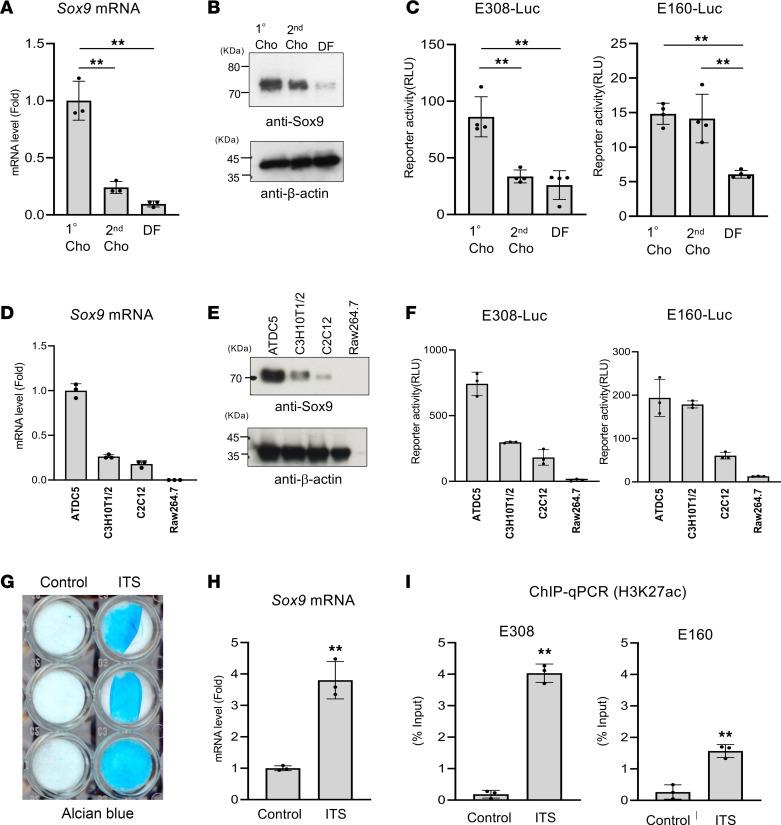 https://cdn.ncbi.nlm.nih.gov/pmc/blobs/b40b/11382882/a6be64acd5bc/jciinsight-9-175486-g014.jpg