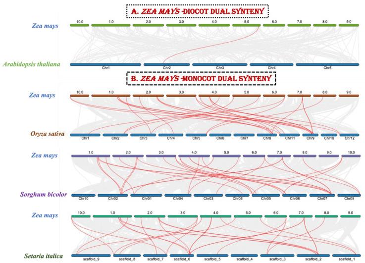 https://cdn.ncbi.nlm.nih.gov/pmc/blobs/b40e/9690586/62404e748505/genes-13-02112-g006.jpg