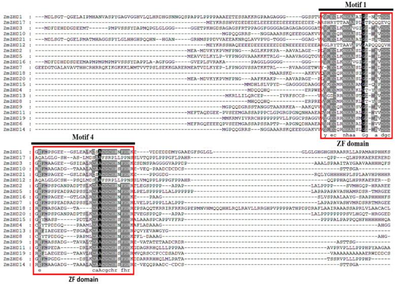 https://cdn.ncbi.nlm.nih.gov/pmc/blobs/b40e/9690586/c8c79abb56d9/genes-13-02112-g001.jpg