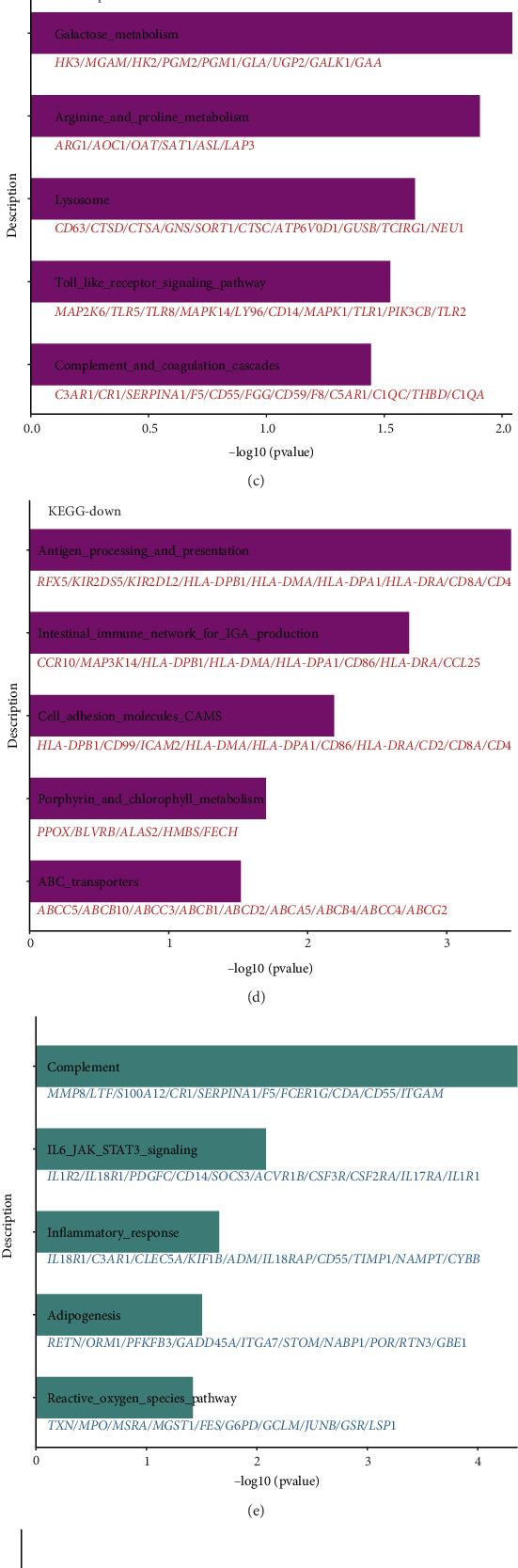 https://cdn.ncbi.nlm.nih.gov/pmc/blobs/b410/12263264/050e955cae22/HUMU2025-5503939.005.jpg