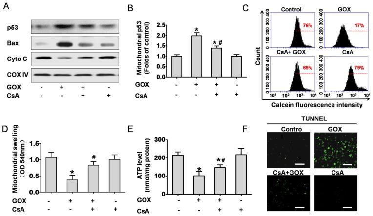 https://cdn.ncbi.nlm.nih.gov/pmc/blobs/b411/4737676/00e38717885a/ijbsv12p0198g007.jpg