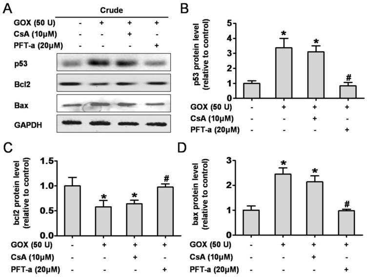 https://cdn.ncbi.nlm.nih.gov/pmc/blobs/b411/4737676/395dd82bba6c/ijbsv12p0198g004.jpg