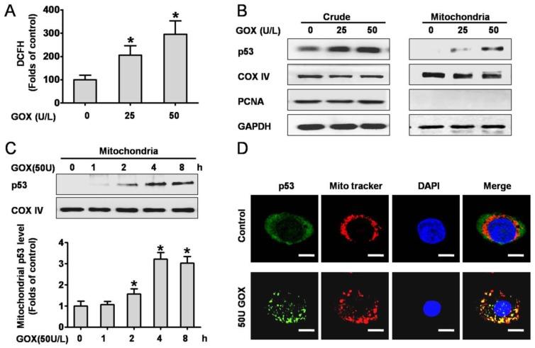 https://cdn.ncbi.nlm.nih.gov/pmc/blobs/b411/4737676/58f99b06715c/ijbsv12p0198g001.jpg
