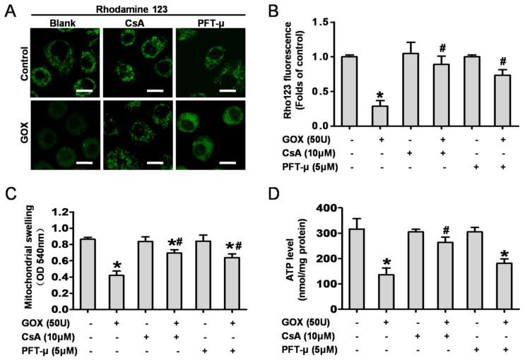 https://cdn.ncbi.nlm.nih.gov/pmc/blobs/b411/4737676/6c03d706eab2/ijbsv12p0198g003.jpg