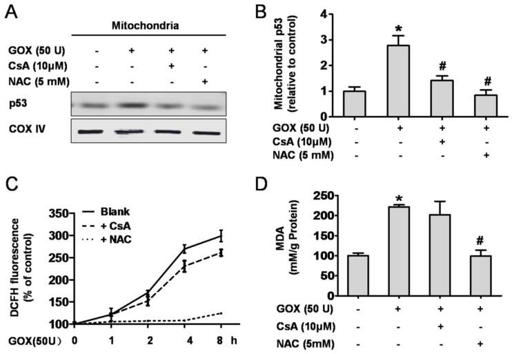 https://cdn.ncbi.nlm.nih.gov/pmc/blobs/b411/4737676/7b95460e3c1d/ijbsv12p0198g005.jpg