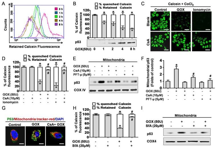 https://cdn.ncbi.nlm.nih.gov/pmc/blobs/b411/4737676/f20a5c9c46ee/ijbsv12p0198g002.jpg