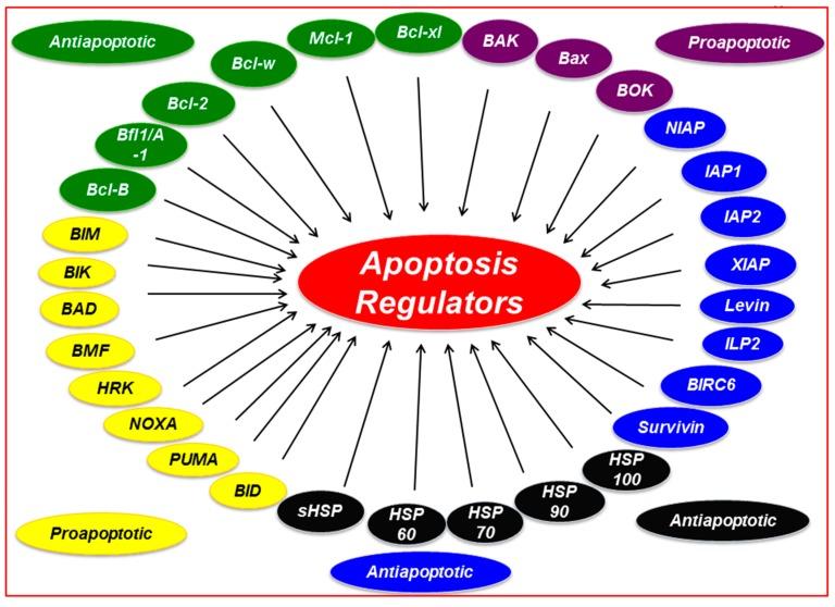 https://cdn.ncbi.nlm.nih.gov/pmc/blobs/b412/4812375/a69fb514a3ce/pharmaceuticals-09-00011-g001.jpg