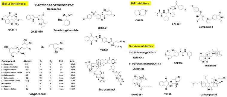 https://cdn.ncbi.nlm.nih.gov/pmc/blobs/b412/4812375/f6e10ab961a9/pharmaceuticals-09-00011-g002a.jpg